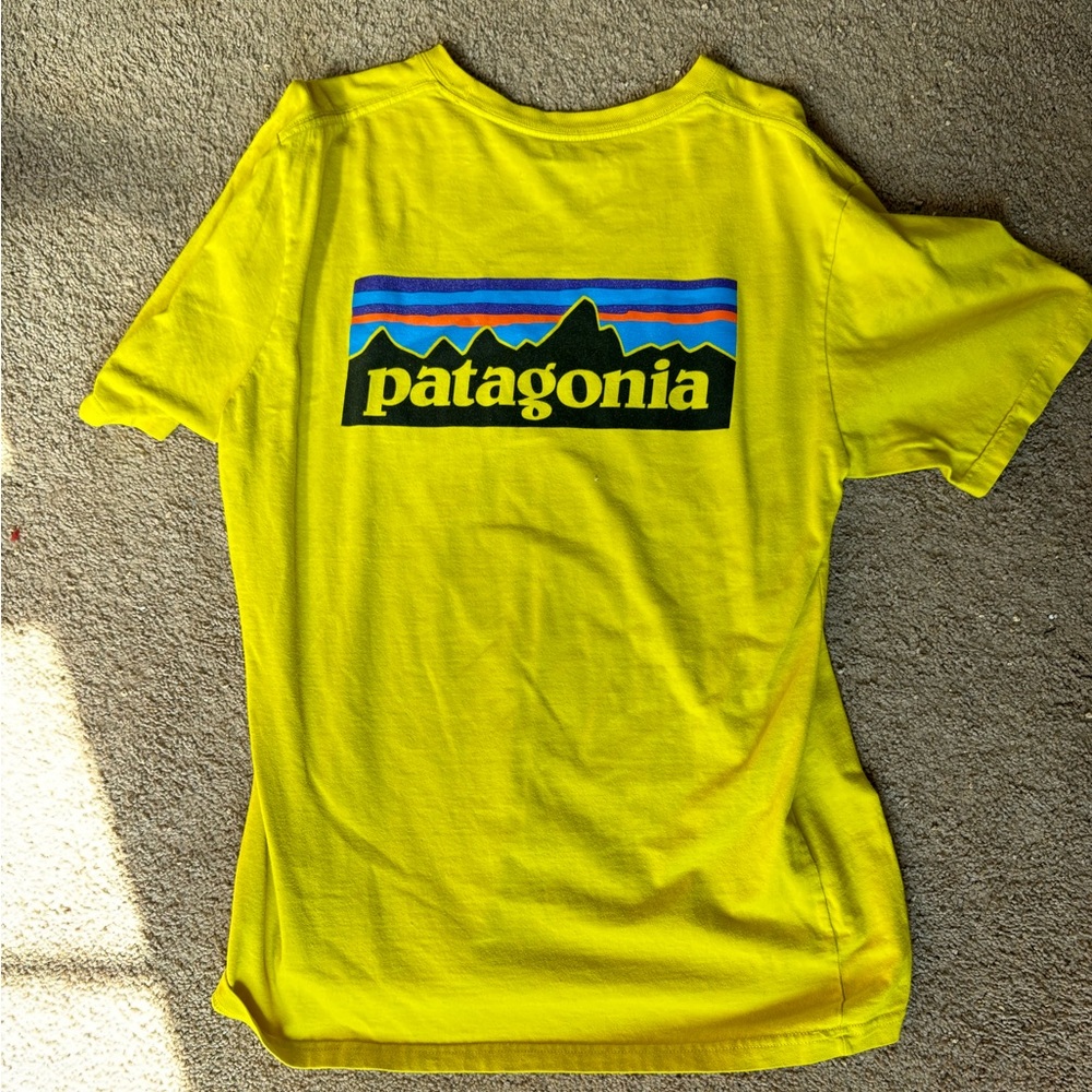 Patagonia Pocket Tee
